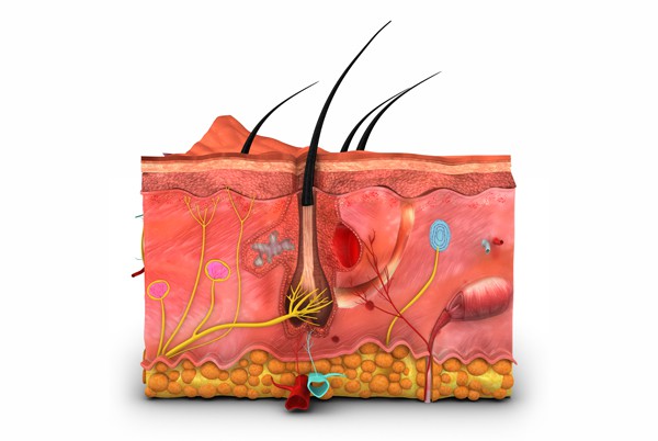 Ingrown Hair Problem?